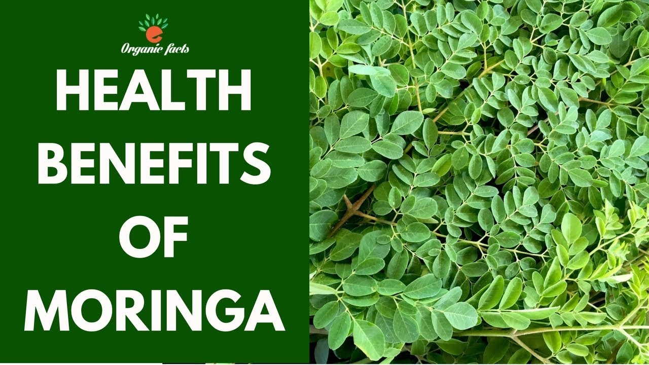 Best Health Benefits Of Moringa Nutrition Facts of Moringa YouTube