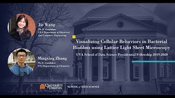 "Visualizing Cellular Behaviors in Bacterial Biofilms using Lattice Light Sheet Microscopy"