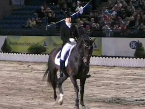 Tallinn International Horse Show 2010, Dina Ellermann & Valentino VH Hof Ter Wilde EST