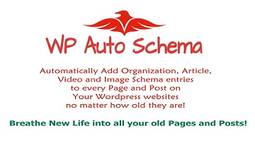 WP Auto Schema Plugin Introduction and Walk Through