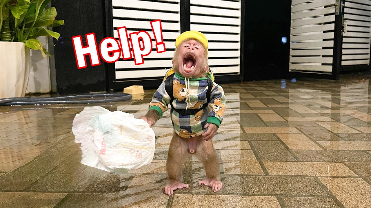 Cubis Monkey has diaper trouble on the way to coffee!