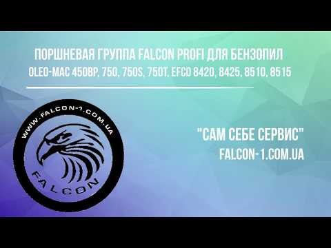 Поршнева Оleo-Мас 450BP 750 750S 750T циліндр з поршнем на бензопилу Efco 8420 8425 8510 8515 4191210A, видео 1