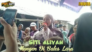 Kangen Di Bales Lara | Siti Aliyah | D'Juniors Team Millennial Music | Putra Nafita Caya