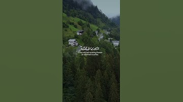 تلاوة من سورة الإنسان🌿"القارئ زياد محمد حامد"#quran #تلاوة #قران #راحة_وطمأنينة