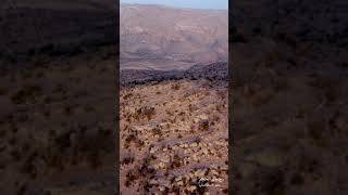 جبال الحجر / الداخلية |  Al hajar mountains