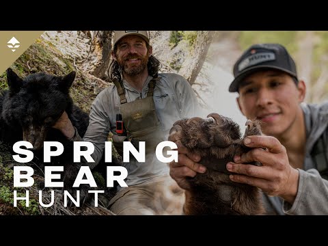 Just a Dream - A Backcountry Spring Black Bear Hunt Film