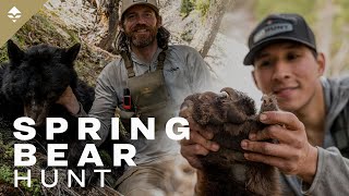 Just a Dream  A Backcountry Spring Black Bear Hunt Film