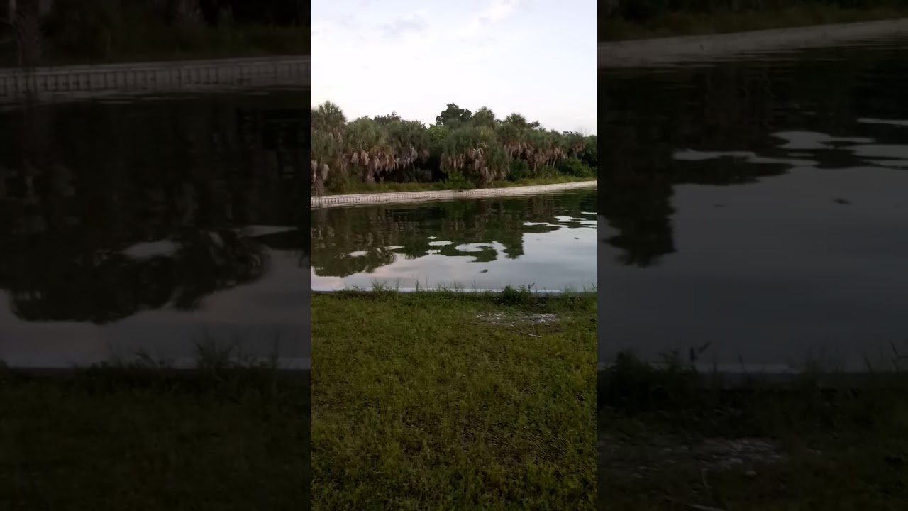 Arrowhead picnic area Fort Desoto