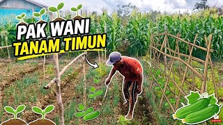 SEND SUPPORT FOR MR. BUDI AND MR. WANI TO PLANT CUCUMBER