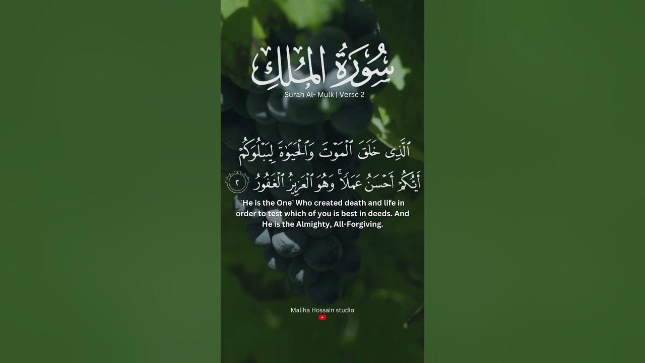 allah-tests-us-with-what-we-love-youtube