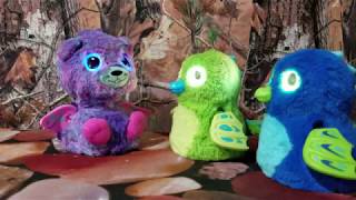 Hatchimals Surprise Peacat Meets The Draggles!