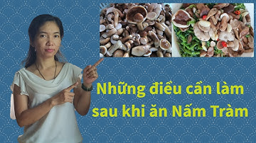 Những Điều Cần Làm Sau Khi Ăn Nấm Tràm #12.1 I NGÔ THỊ TUYẾT MAI
