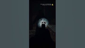 NEVER CHARGE TOWARDS SOMEONE WITHA GUN #readyornotgame #swat4