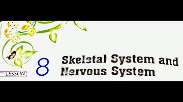 Class 5 Science chapter 8 (part-1) Skeletal System and Nervous system