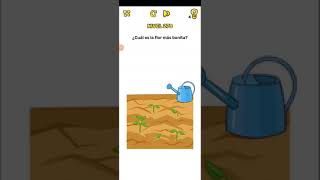 Brain Blow | Nivel 278 - Cual es la flor mas bonita? screenshot 4