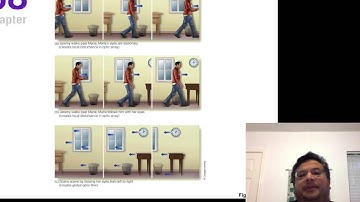 Sensation and Perception, Chapter 8, Pt 2