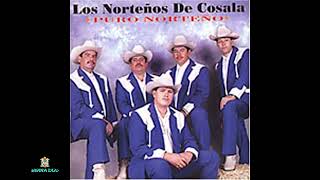 El Cosalteco - Los Norteños De Cosalaen Vivo