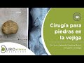 Cistolitotricia cirugia para calculos litos piedras en vejiga minima invasion