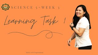 CHANGES IN MATERIALS | SCIENCE 5+WEEK 3+LEARNING TASK 1 | PB1ES Net Worth