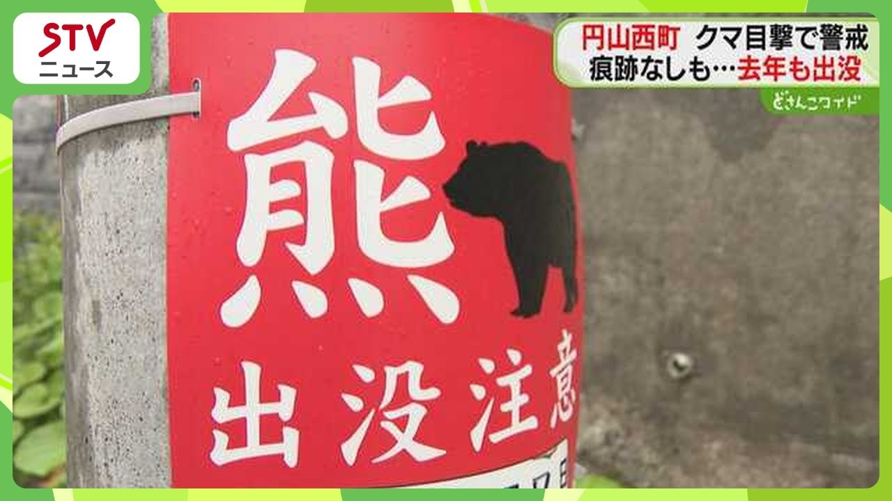 No signs of bear found in Sapporo's Chuo Ward; location saw