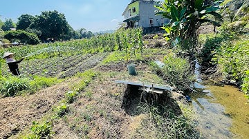 Bơm nước năng lượng Mặt Trời 410w chạy không cần điện lưới giá 2tr3