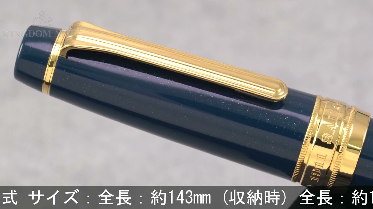 SAILOR セーラー 万年筆 リミテッドエディション プロフェッショナル