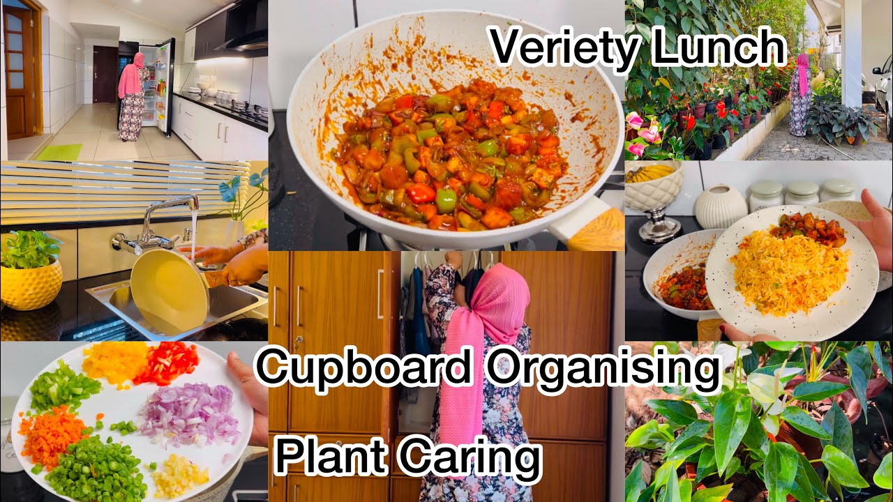 Busy Friday Vlog/#Schezwan Fried Rice #Chilly Paneer /Cupboard Organising /Plant Caring