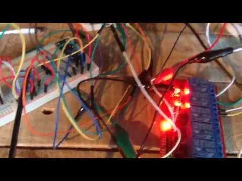 Hydroponic Automation with Raspberry Pi and Sensors - Mini Project