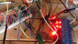 Hydroponic Automation with Raspberry Pi and Sensors - Mini Project