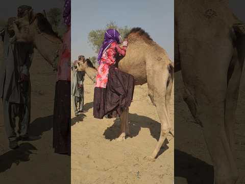 ف تاة س ح رائي ة ت ت س ل ق ج م ل ها ب ر ق ة في ص حراء الد ه ناء