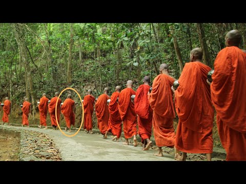 Vídeo: Els covards familiars - un fenomen cultural del període soviètic