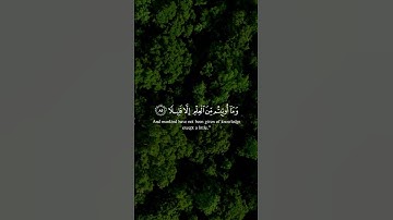 ﴿ويسألونك عن الروح قل الروح من أمر ربي وما أوتيتم من العلم إلا قليلا﴾ سورة الإسراء فارس عباد