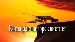 Когда рак на горе свистнет - YouTube