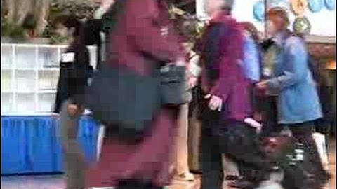 March of the Librarians