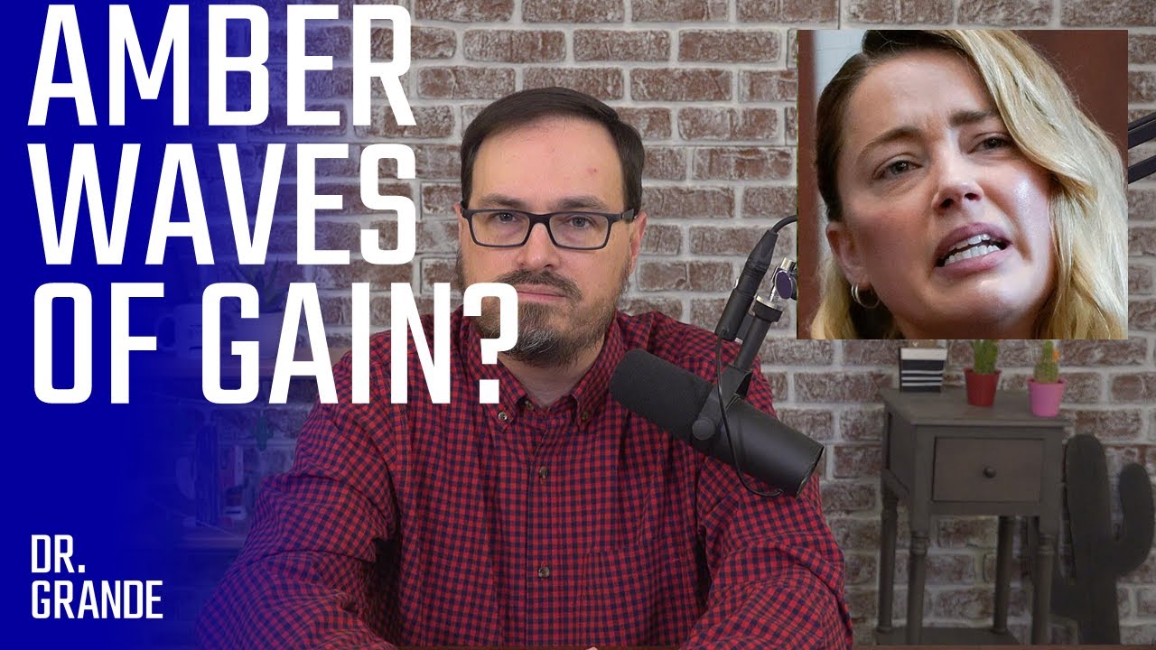 Did Amber Make Gains Under Direct Examination? | Dangers of Idealization |  Depp/Heard Case Analysis
