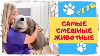 Самые Смешные Животные 2021 😀 Лучшие Приколы С Животными За Неделю 👍