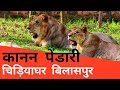 Kanan Pendari Zoo Bilaspur Chhattisgarh  Dk808