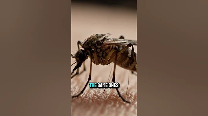 Chikungunya Virus Is Spreading. Stay Safe     #science #popular #viral #trending #fyp #shortscircui