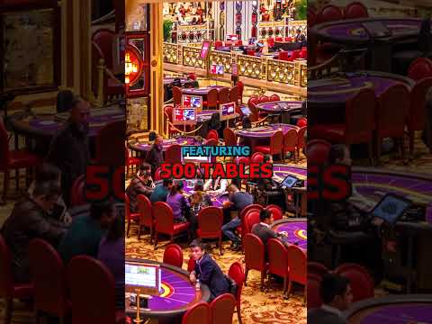 PROBAMOS NUEVO juego de CASINO el TIKI-TRAKES/Jugando TIKI RUNNER 2
