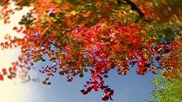 ENTROPY / Composition of Knots