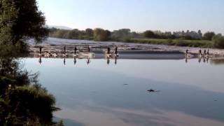 Weird Waves Of The World - Britains River Bore