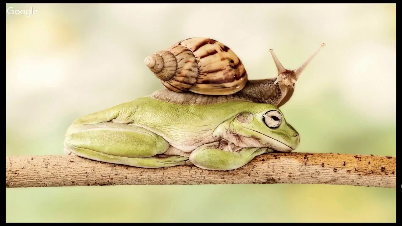 8 Ways to Recycle Your Content to Boost Exposure