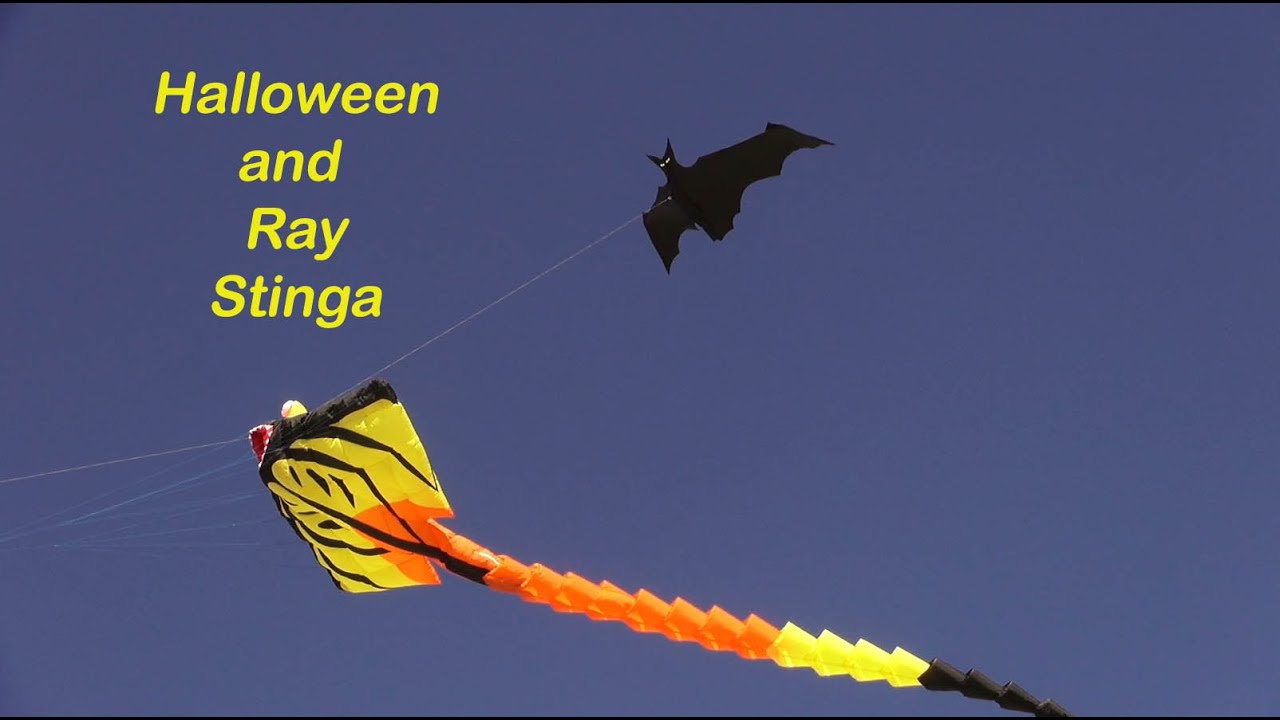 Halloween and a Mini Stinga