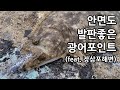 태안 안면도 발판좋은 광어 루어낚시 포인트 (feat. 장삼포해수욕장)