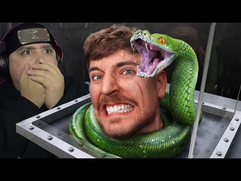 MrBeast Face Your Biggest Fear to win $800,000 | REACTION!!!