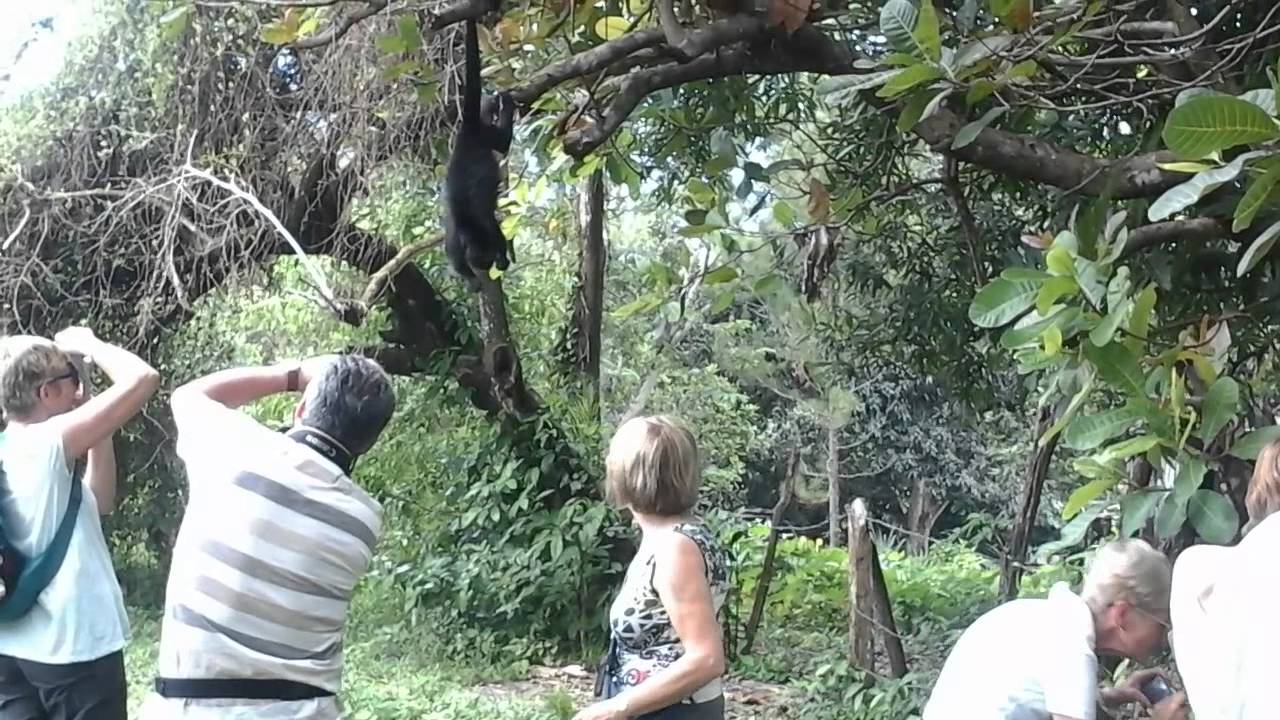 Private Alternative Tours with AlTourNative Belize