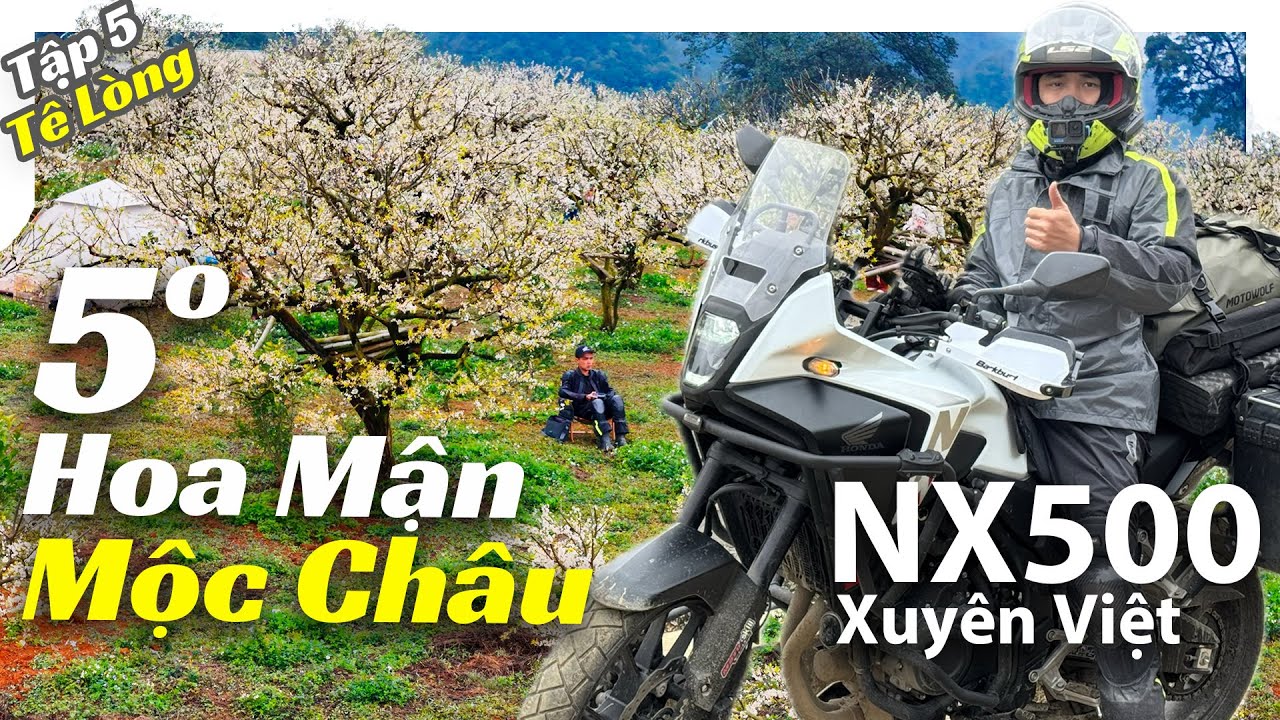 Phượt Mộc Châu lạnh 5 độ Săn hoa mận trắng đẹp nhất năm! NX500 Xuyên Việt Tập 5 - Tê Lòng [4K]