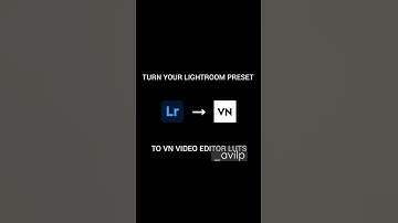 Turn your Lightroom presets to VN editor luts #lightroom mobile#vn editor