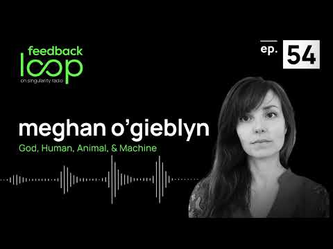 God, Human, Animal, & Machine | Meghan O'Gieblyn, Feedback Loop ep 54