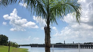 Vlogging..while being a land surveyor. IN FLORIDA! Taking the Eagles Nest! by BJamie 91 views 2 years ago 28 minutes